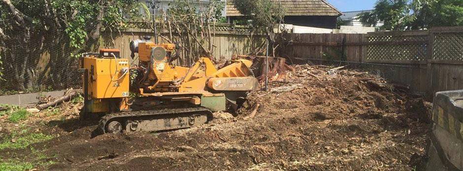 Small Stumpy Tree Service Small stump removal service for small stump grinding jobs